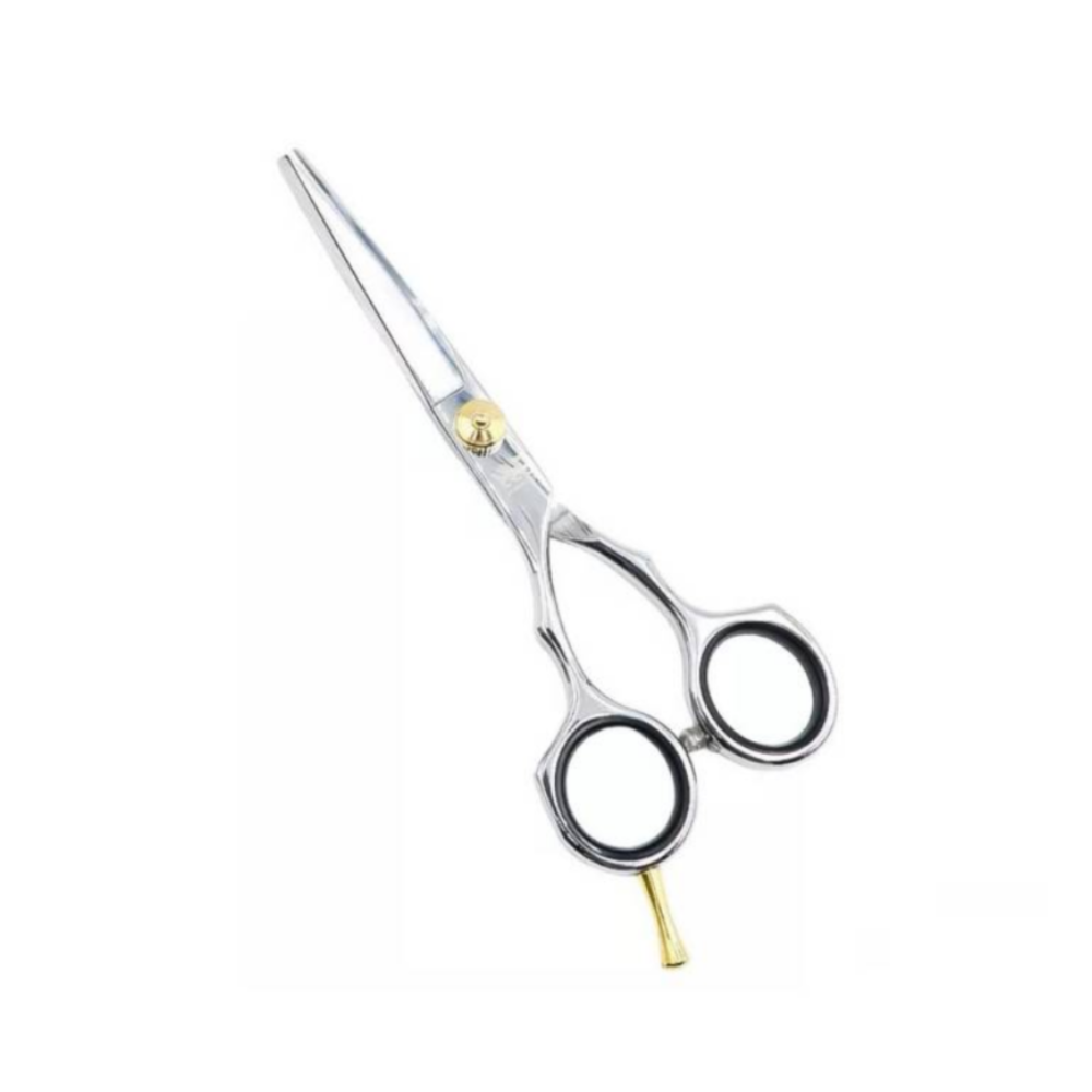 Diseño sin título - 2026-01-21T111338.581